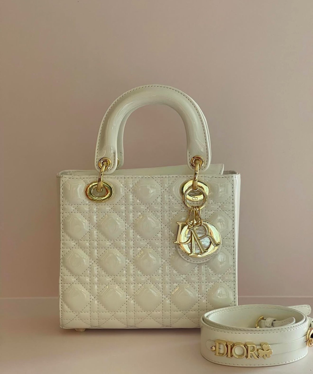 Dior Handbag - l3roma